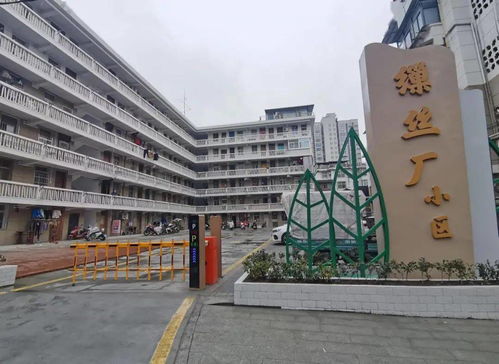 時光機丨繅絲廠小區 蠶桑記憶