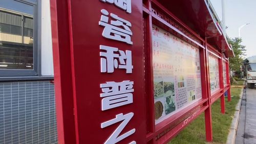 探訪梧州工業發展陶瓷廠的自動機械化,新的起點經濟將會更上一樓