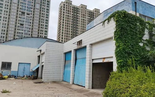 濰坊最新征地公告 范圍有