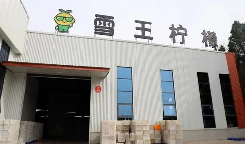 無標題