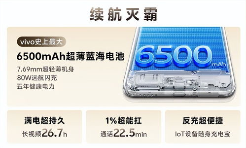 輕薄好看的續(xù)航王者,一圖帶你看懂vivo y300 pro